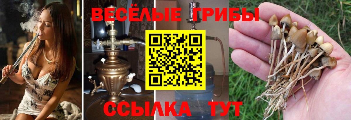 Галлюциногенные грибы ЛСД  дарнет шоп  Галлюциногенные грибы Psilocybe  Химки  Вход с VPN 